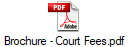 Brochure - Court Fees.pdf